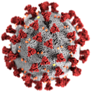 Alerte Coronavirus - Votre diététicienne est mobilisée !